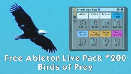 Birds of Prey by AfroDJMac