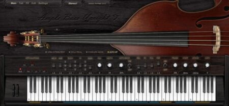 Ample Bass Upright II Review