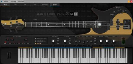 Ample Bass Yinyang II Review