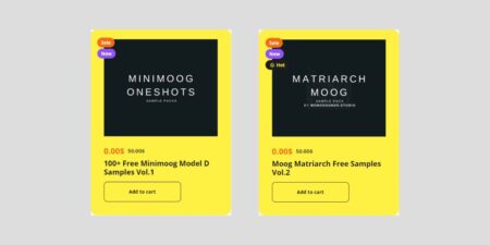 Free Moog Samples