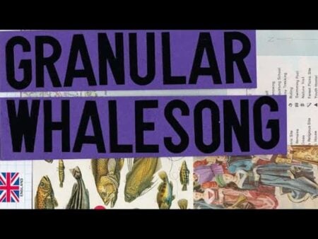 Spitfire Audio Releases FREE Granular Whalesong For LABS