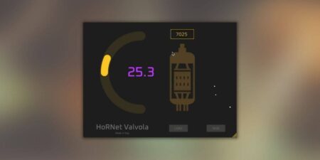 HoRNet Valvola