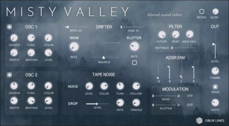 Misty Valley by Oblik Lines