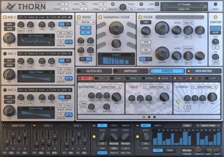 Dmitry Sches Thorn Review