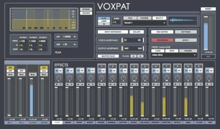 Digital Brain Instruments Voxpat Review