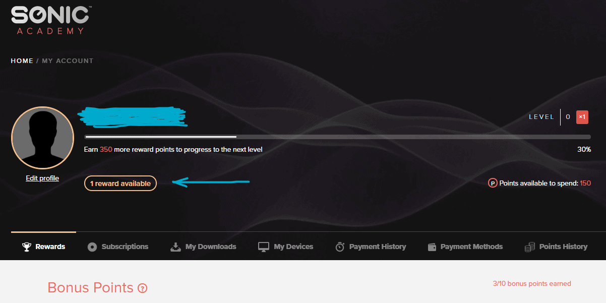 Sonic Academy user account.